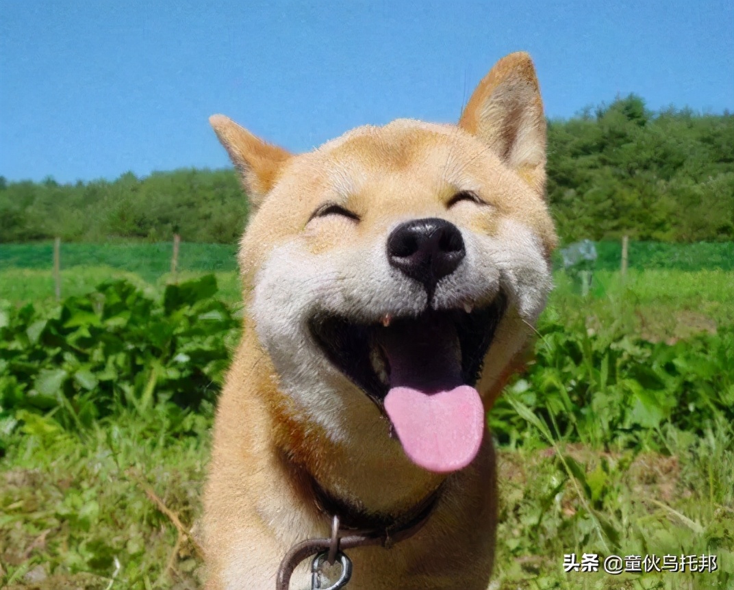 2021人间值得,2019人间值得