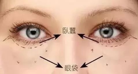 新手眼影推荐加教程,买了眼影又不想画怎么办