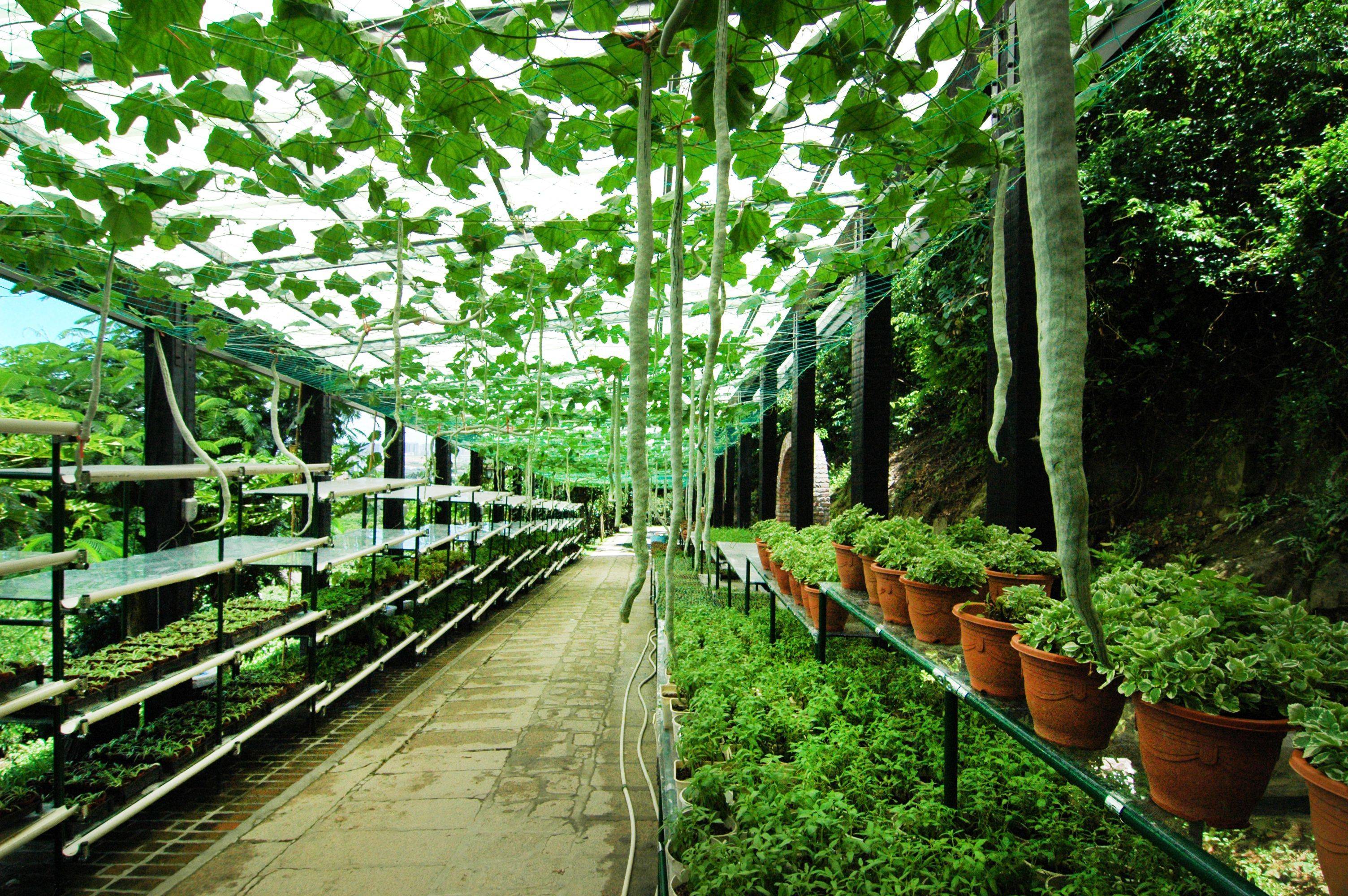 深圳青青世界有什么好玩,深圳青青世界亲子套票