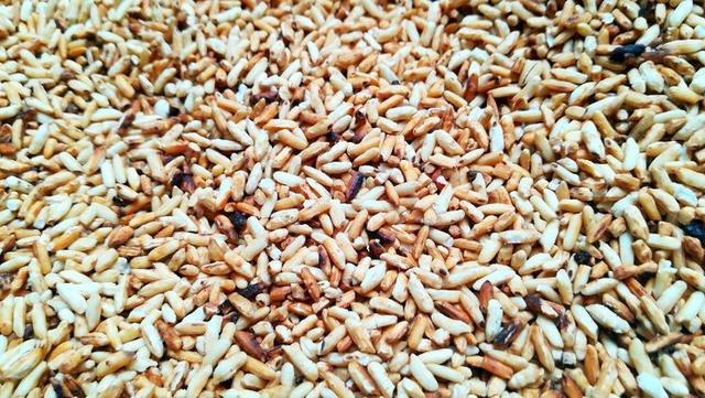 侗族的血粑鸭怎么炒好吃,侗家香酥鸭