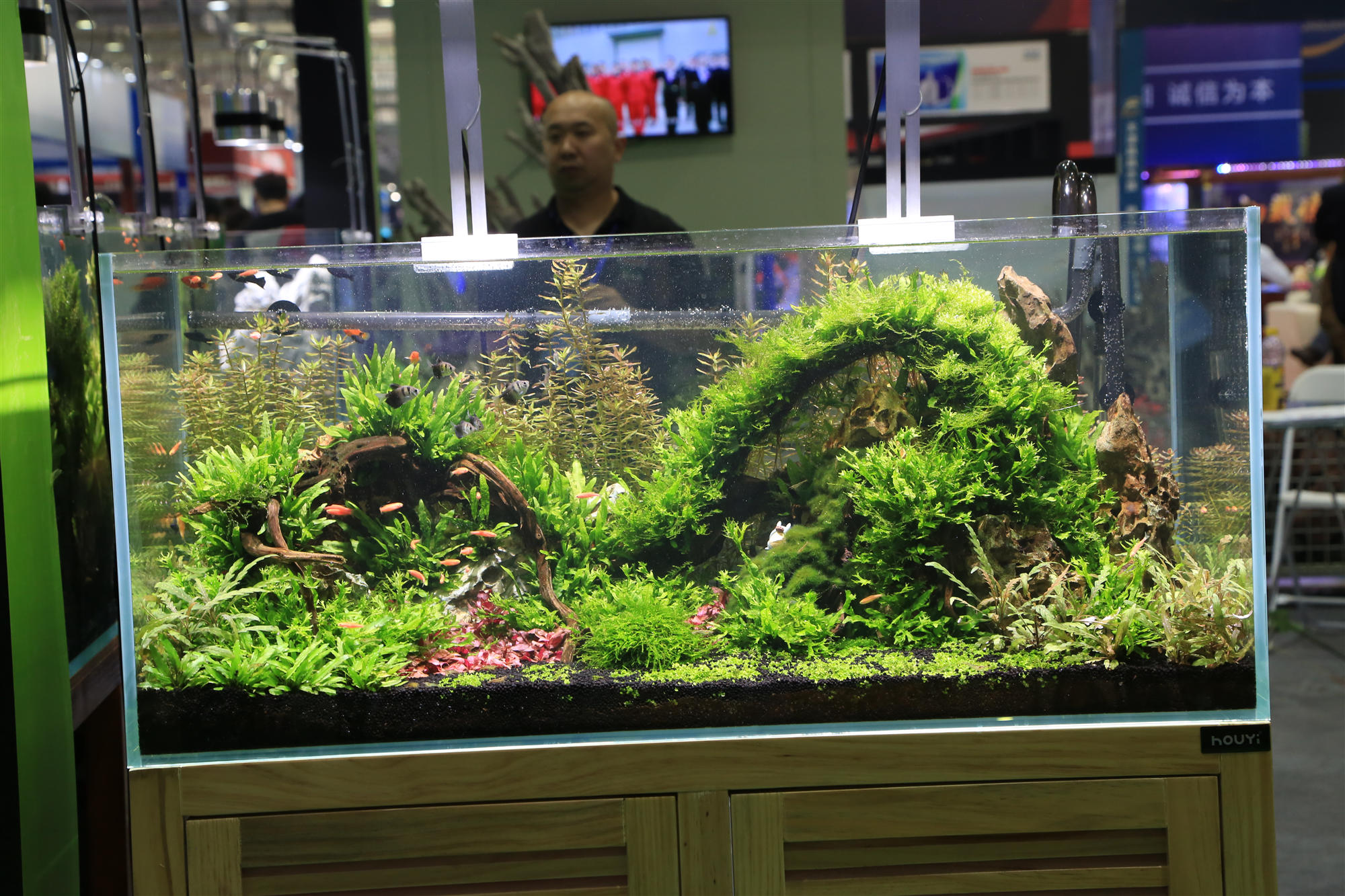 淡水水族展,中国国际水族展