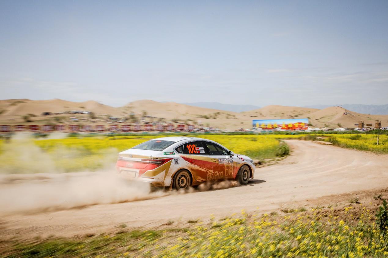 比亚迪家轿冠军,紧凑级新能源车销量冠军