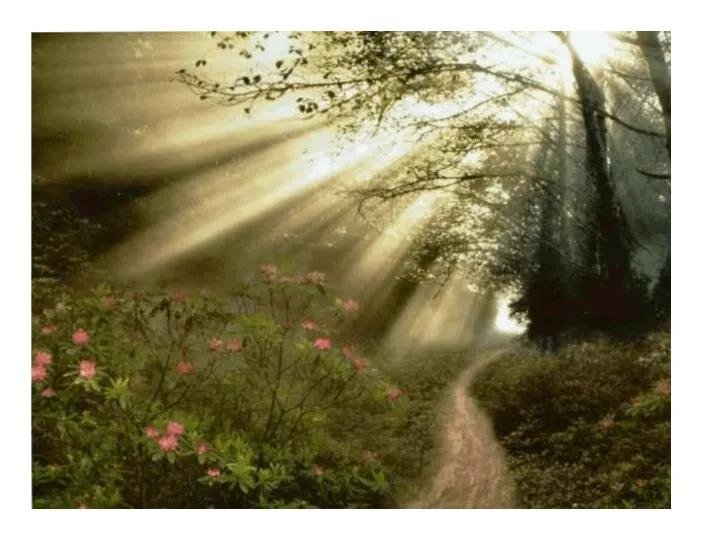 幸福的滋味女声版,幸福的滋味电视剧