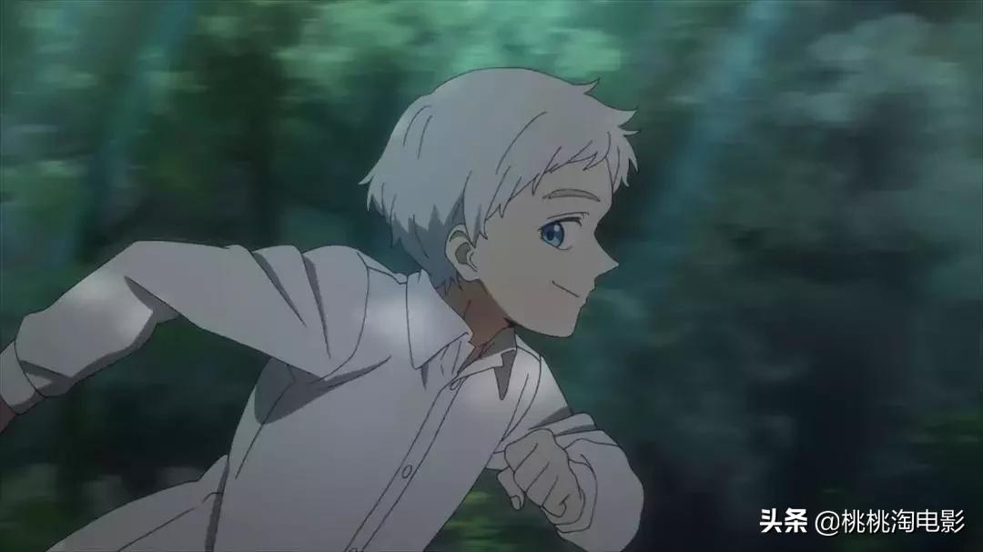 9.5分这部神剧不该被埋没,9.2分神剧真实到令人窒息