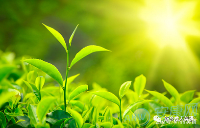 英语关于颜色还有哪些语法点,嫉妒眼红的区别