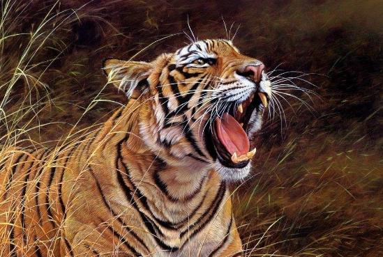 武松有打四虎吗,武松两次威震安平寨之事