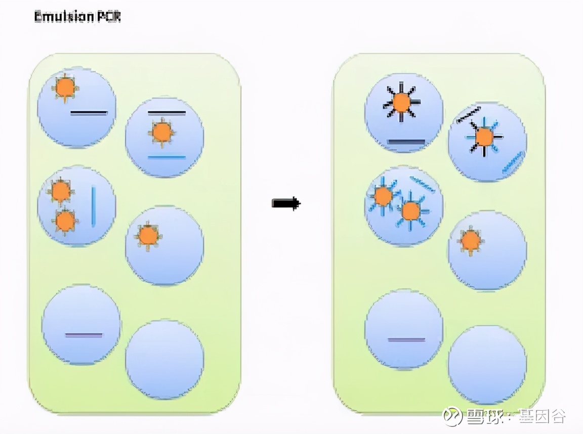 全场硬菜！分子诊断技术全解析