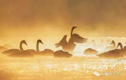 满福青海,青海人的冬天怎么过