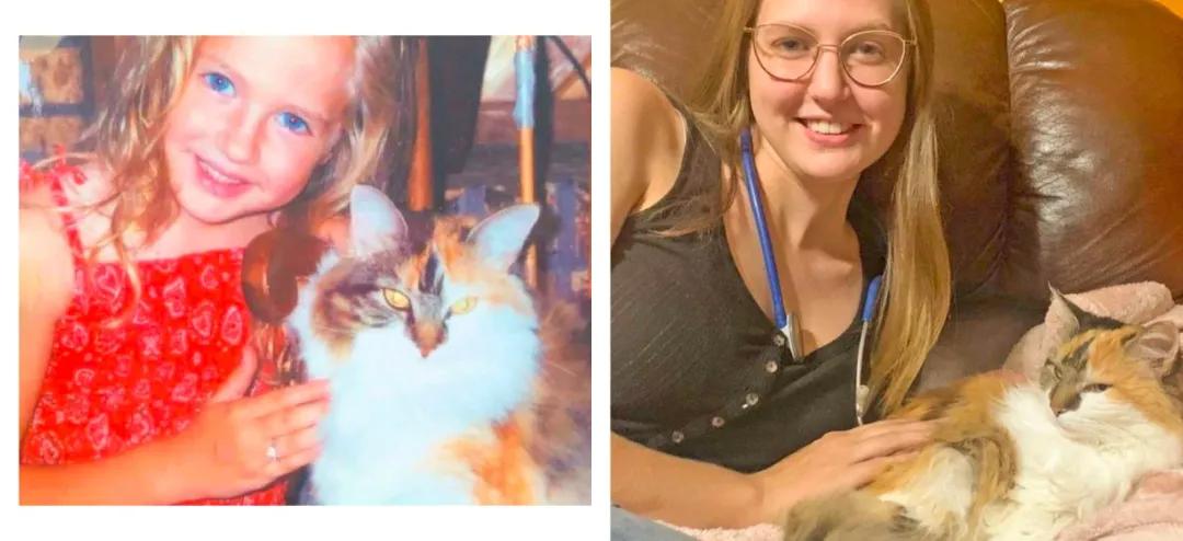 珍贵照片猫咪,猫咪和主人令人惊艳的合照