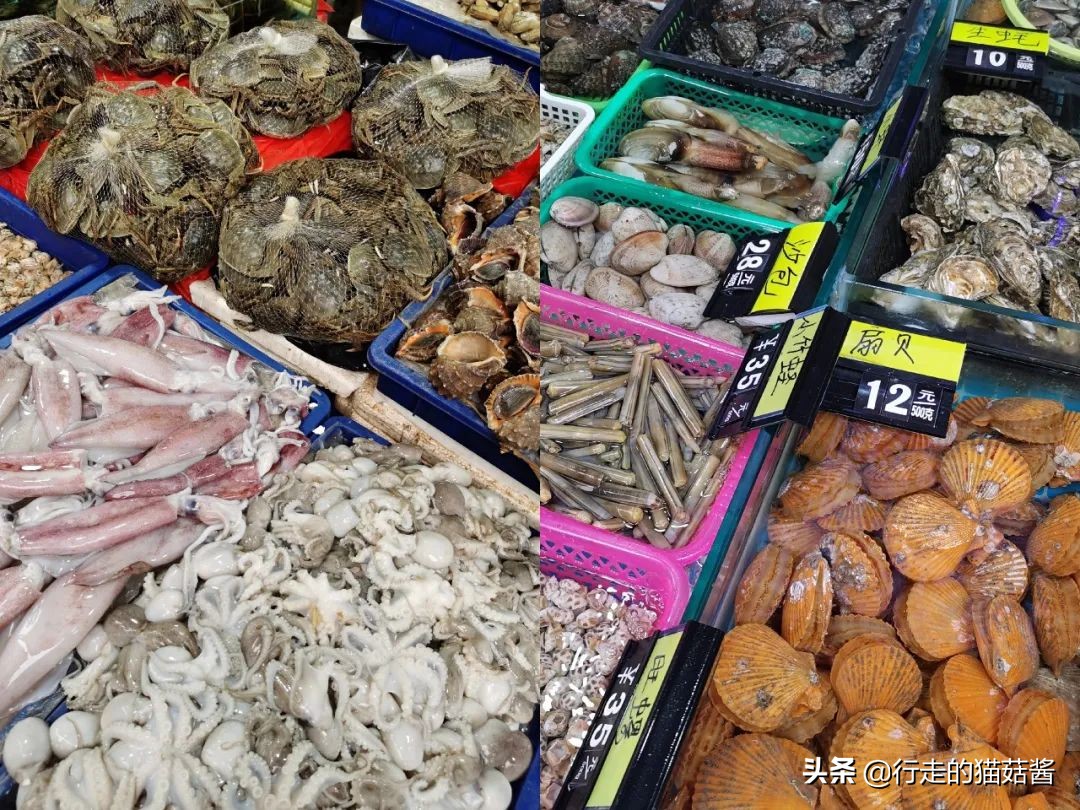 第一次去厦门必去攻略,去厦门的自由行攻略图文