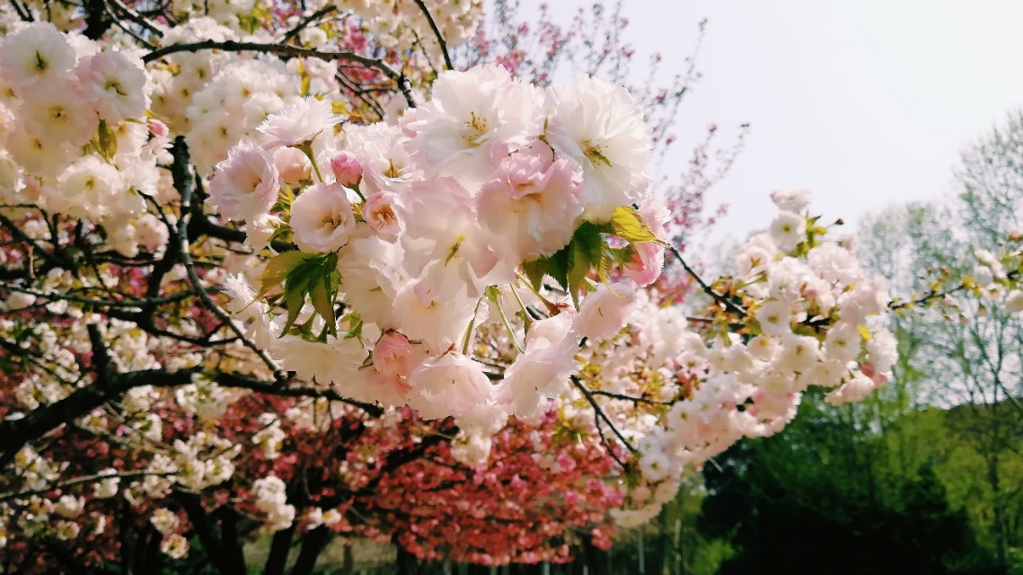 珍惜人生经典美文,情感美文让一段时光可以留住岁月