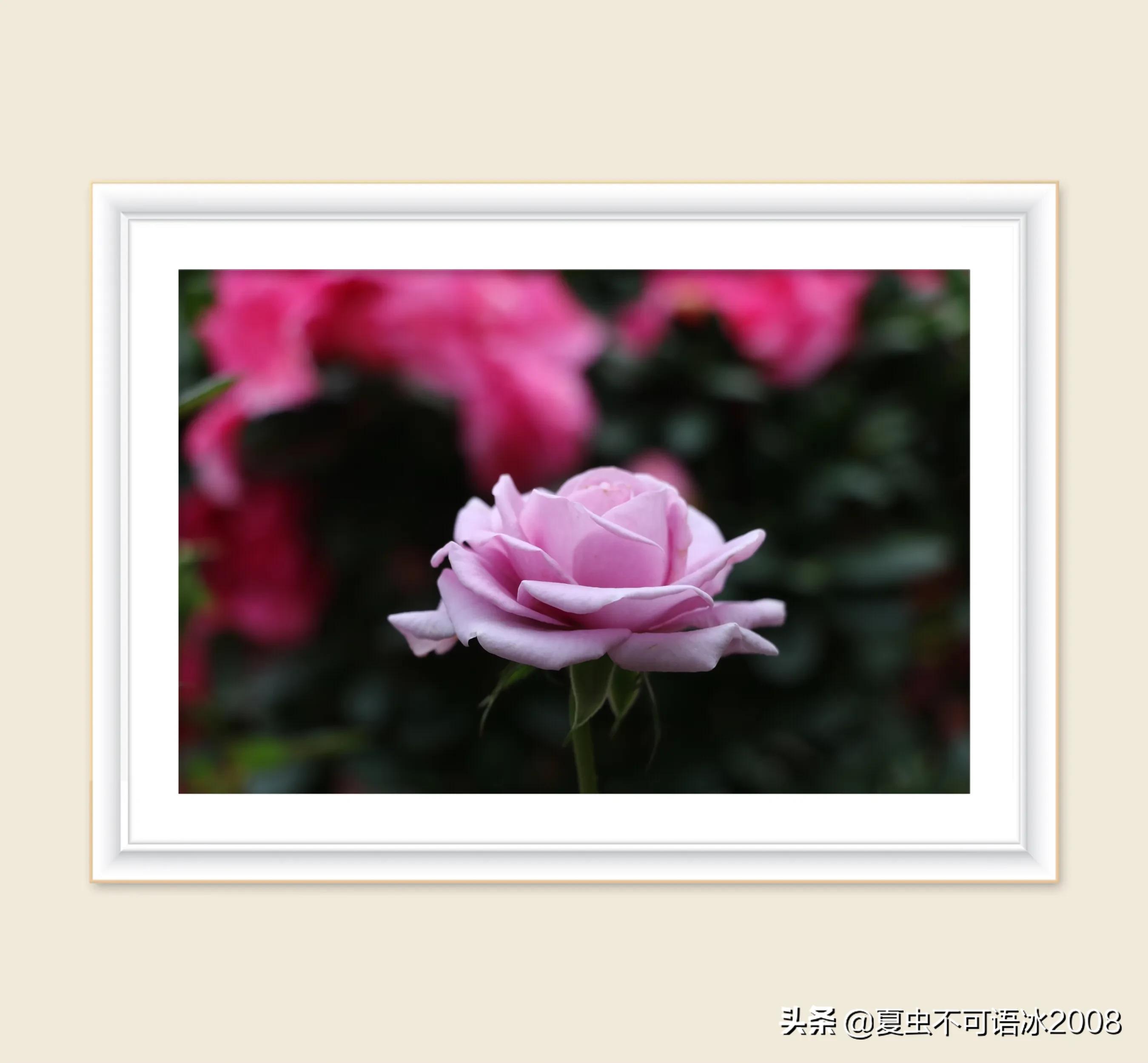 微课在物理教学中的应用,微课在物理教学中的应用论文