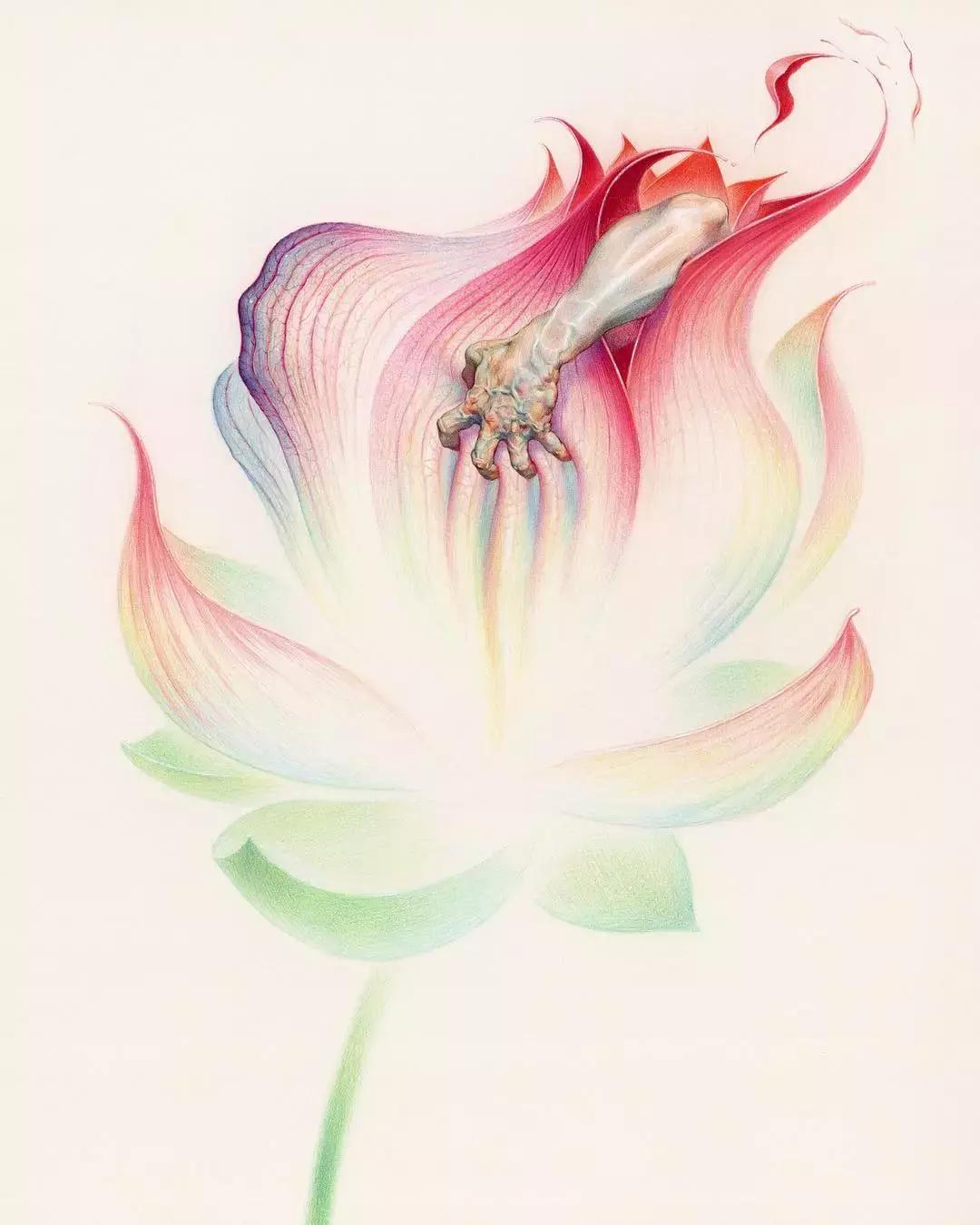 人体彩铅,人体五官彩铅