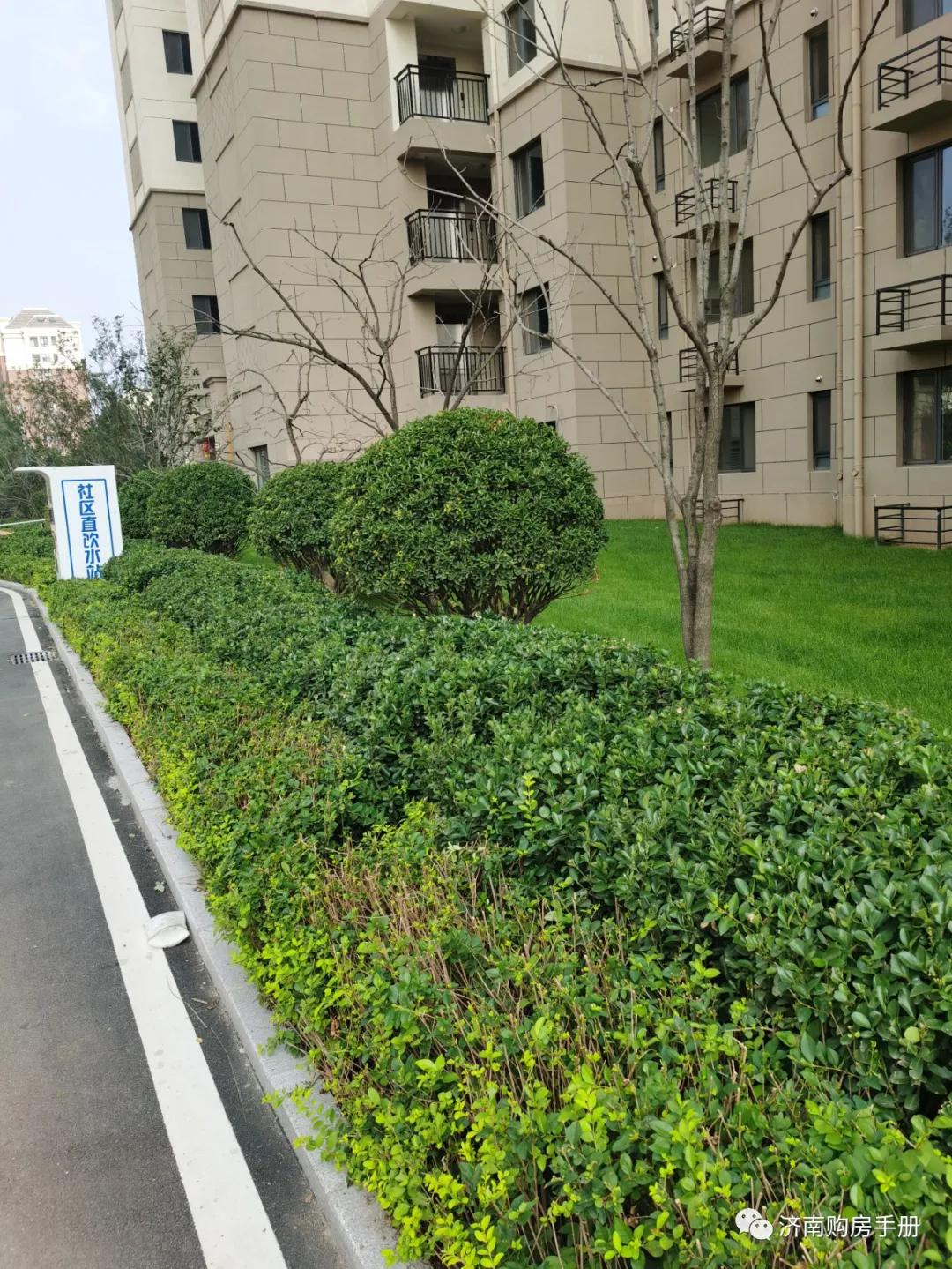 济南碧桂园凤凰城最新房价,济南碧桂园最新的情况