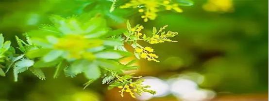 知足常乐有你陪伴不孤单,知足常乐心中才能装满幸福