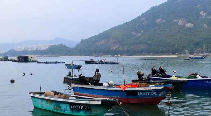 阳江海边旅游攻略路线推荐,楠溪江免费游最佳攻略