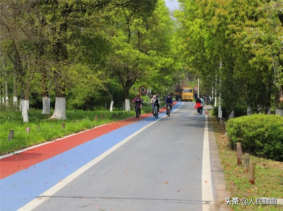 太湖骑行步道,无锡太湖骑行绿道
