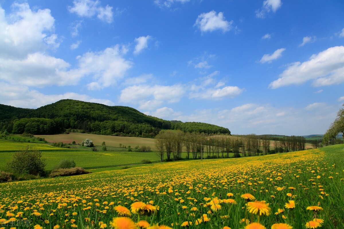 如果你很容易上当受骗，无法辨别信息真假，不妨听听老子的这段话