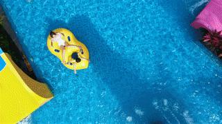 厦门温泉酒店吃住一体团购,厦门温泉酒店温泉套票