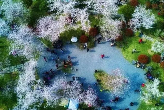 无锡周边游：华藏寺，无锡鼋头渚，金匮公园，宜兴竹海