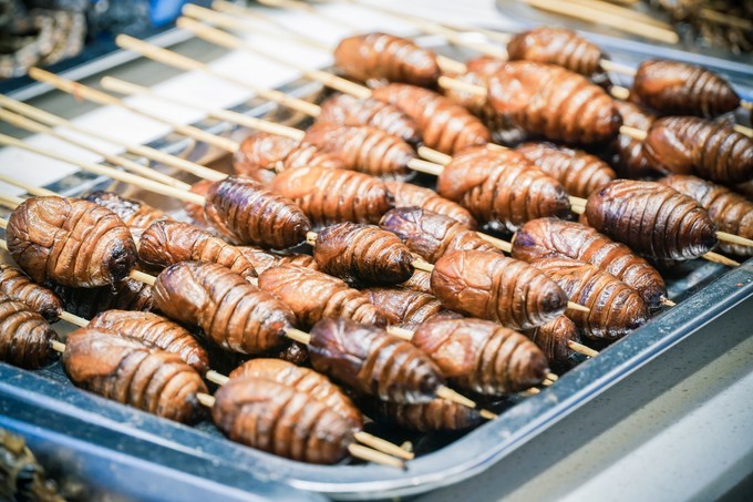 长沙三天两夜吃喝玩乐,长沙三天两晚自由行攻略酒店