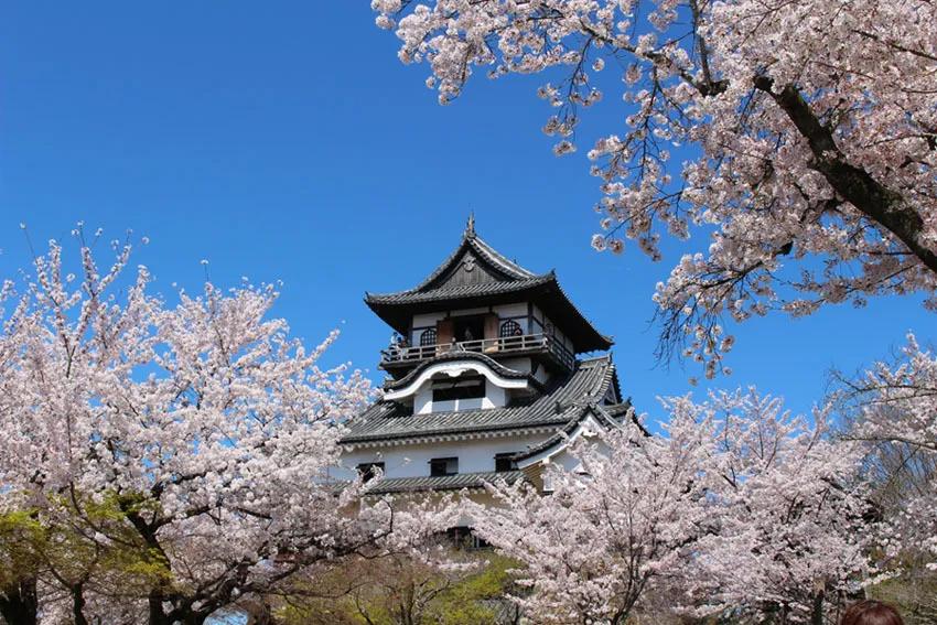 日本网友评的亚洲100强城市,日本最想去的城市