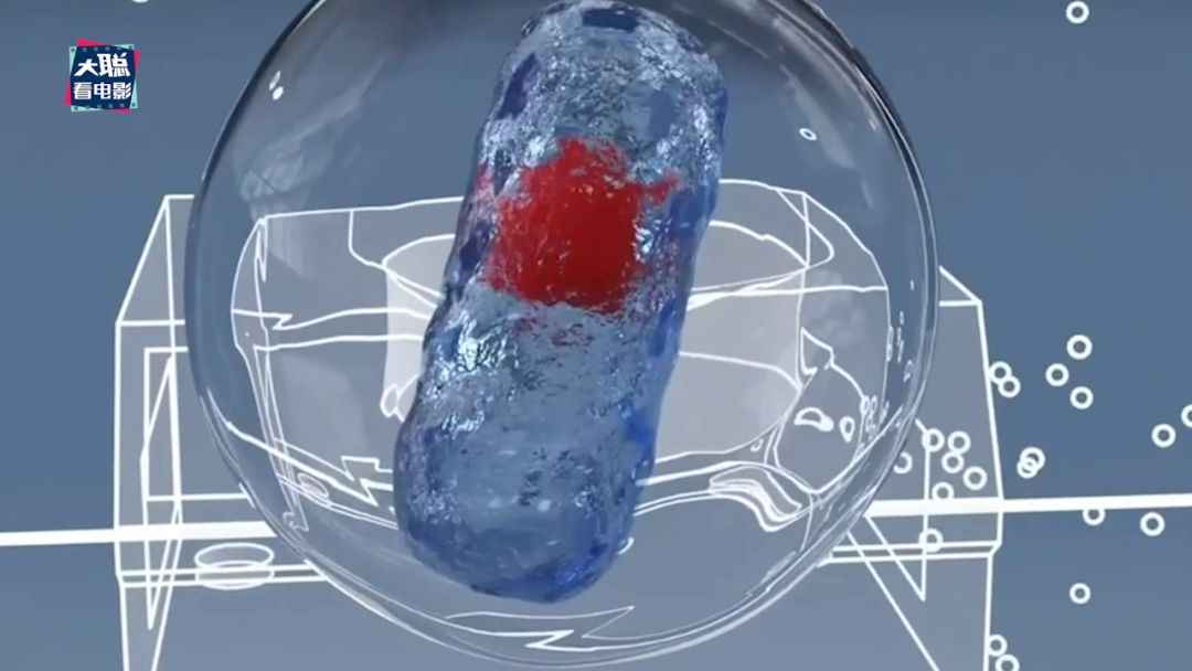 从地理视角看传染病电影,传染病科普视频动画