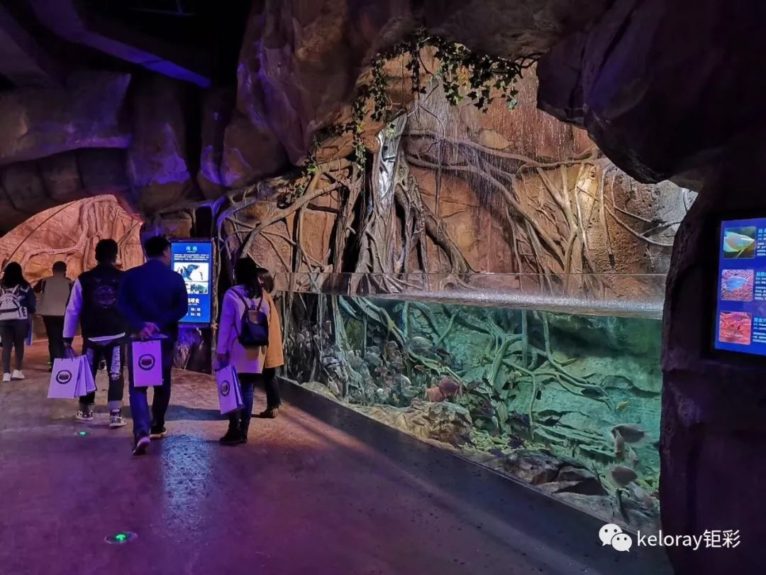 长沙市发布高温黄色预警,黄色高温预警是多少度