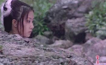 整容后的女明星老了,整容严重变性的女明星