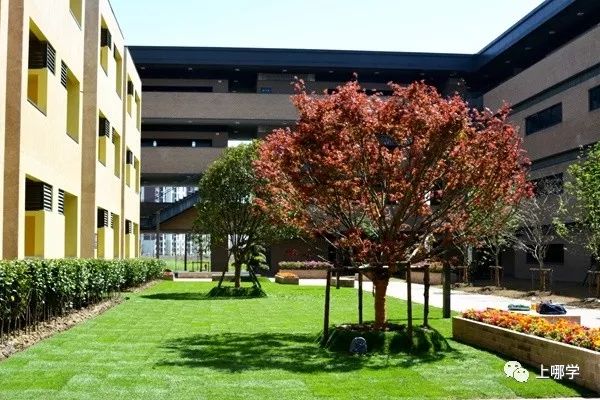 上海最好的十大民办初中,上海各区的顶级初中和一流初中