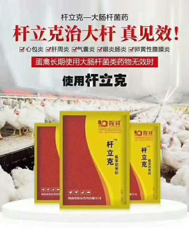 鸡得伤寒有什么症状,鸡肝脏肿大是怎么引起