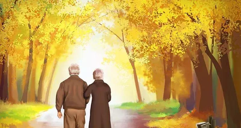 鹊桥陷阱,假红娘的骗局视频