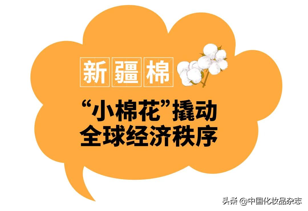 化妆用的海绵叫什么,如何选择适合自己的基础化妆棉