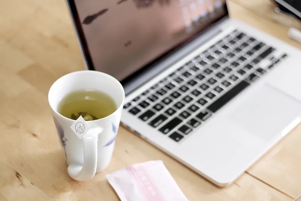 梅花香荷花,什么样的梅花香最好