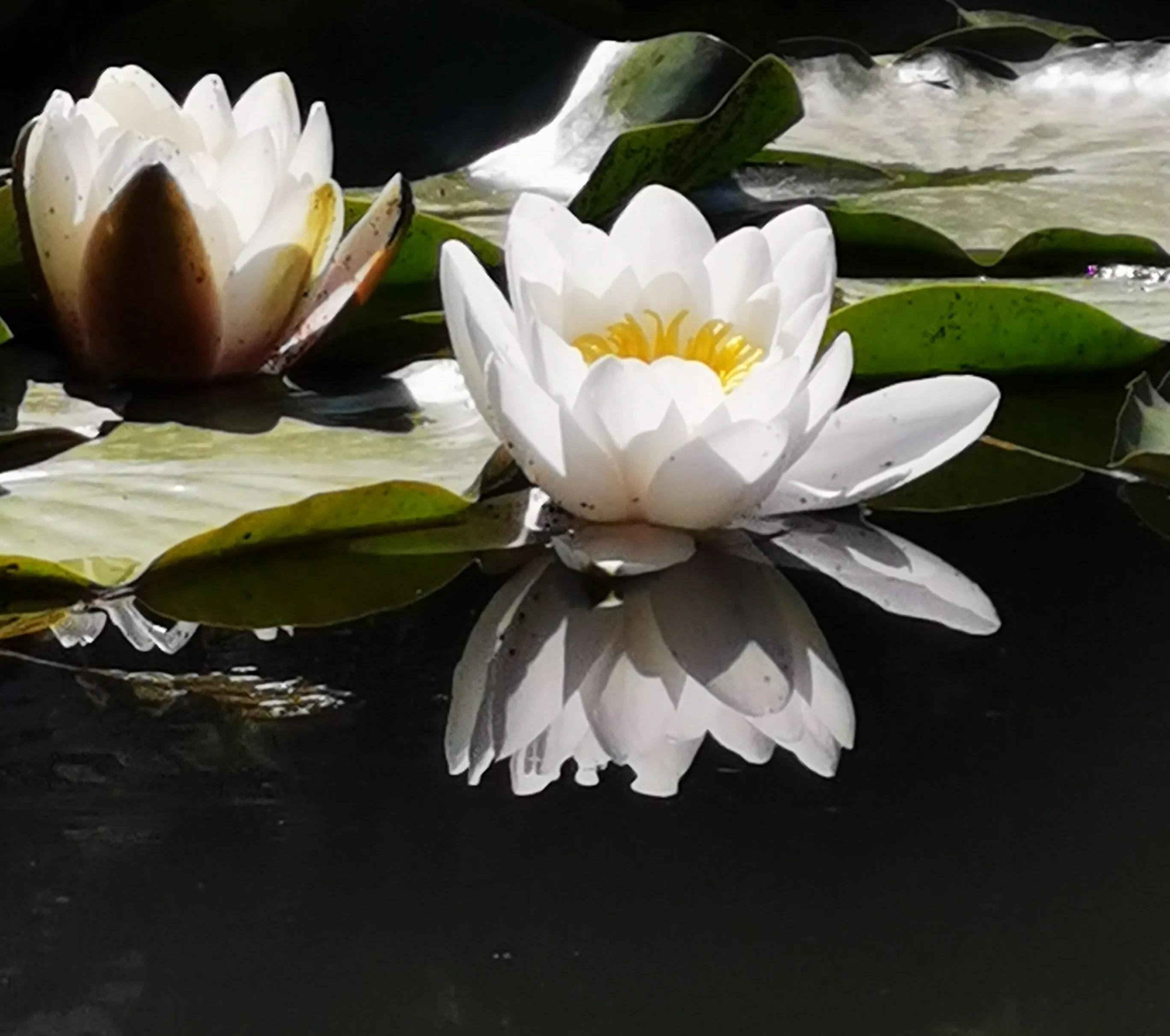 手拍世界（手机摄影平台）-群员作品集（总第671期）