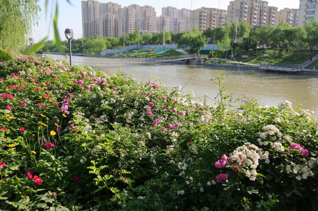 济南踏青旅游攻略,济南哪里的温泉适合带孩子去的