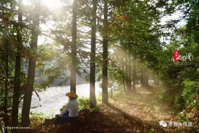 永春的春天是一个异常美丽的地方,永春有哪些地方