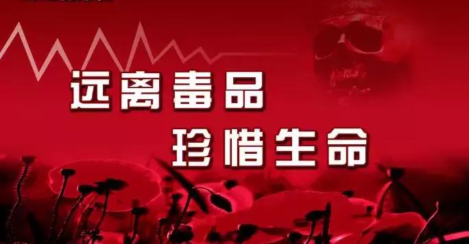 公安局禁毒检查行动简报,忻州禁毒在哪里做