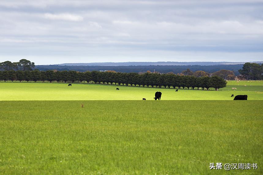 澳大利亚大学冷知识,澳大利亚冷知识100条
