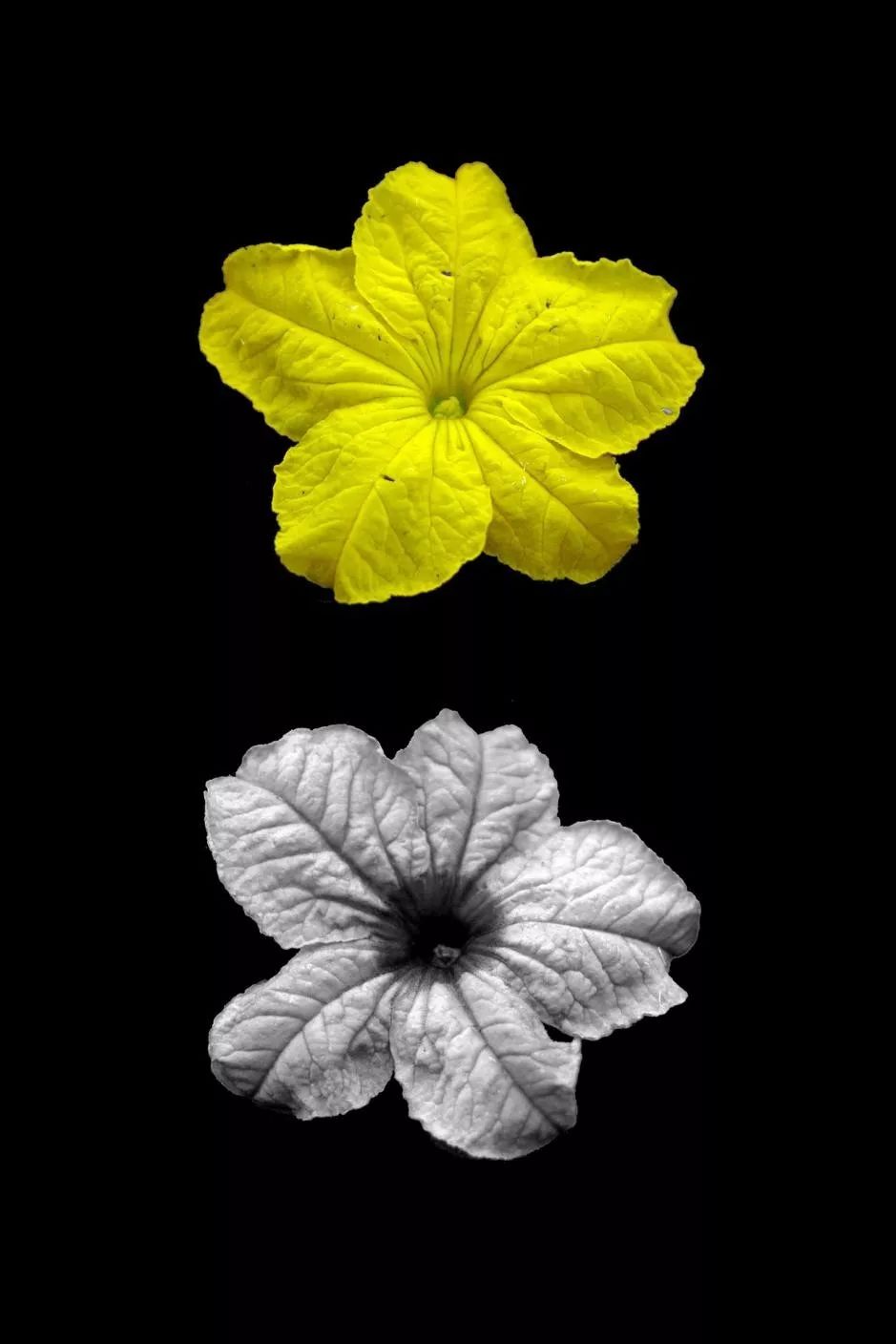 绉戠爺澹佺焊,绉戠爺浜虹殑鏂板勾澹佺焊