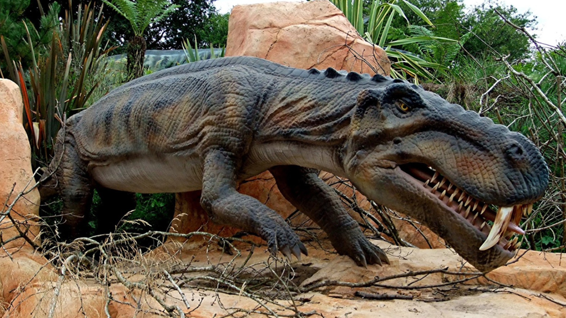 巨齿鲨vs沧龙vs帝鳄vs托斯特巨鱿,比巨齿鲨还可怕的10个史前生物