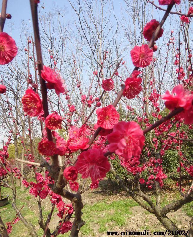 三明大金湖导游词400字,大金湖的景区导游介绍