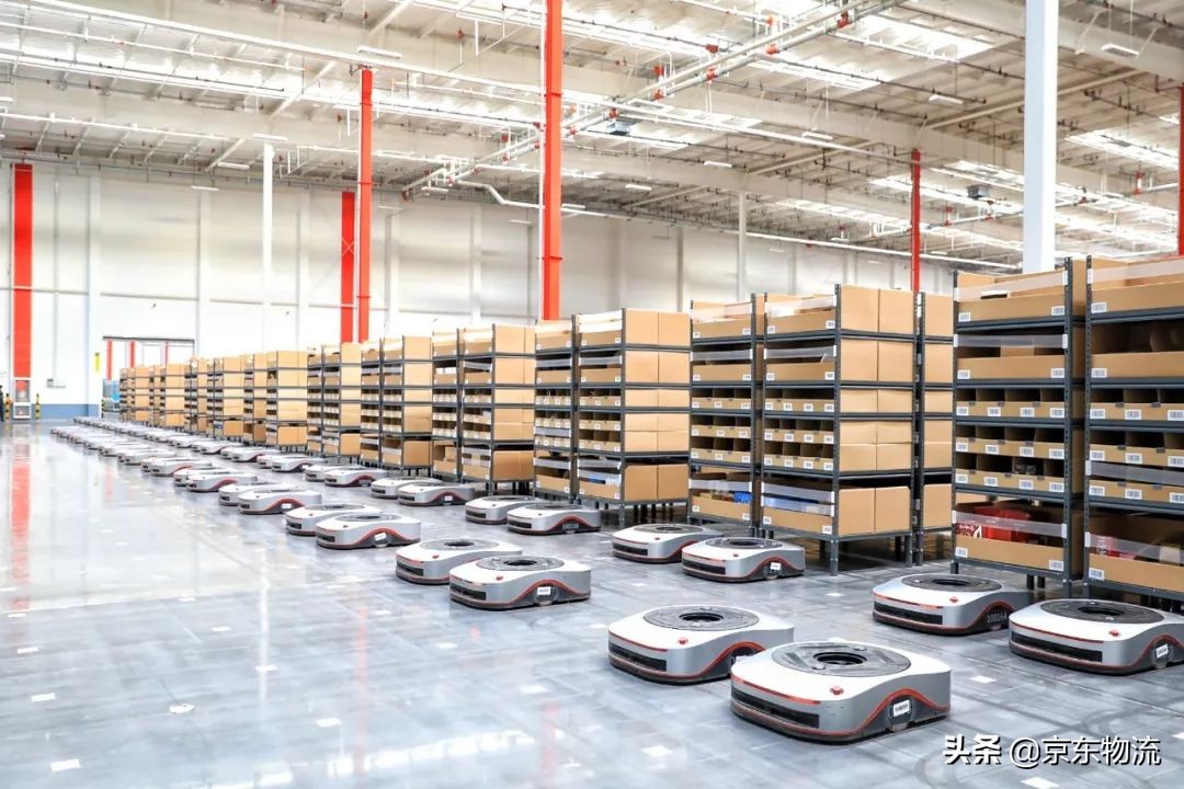 麦子屯里的黑科技，亚洲一号里的16个90后和63头“小狼”