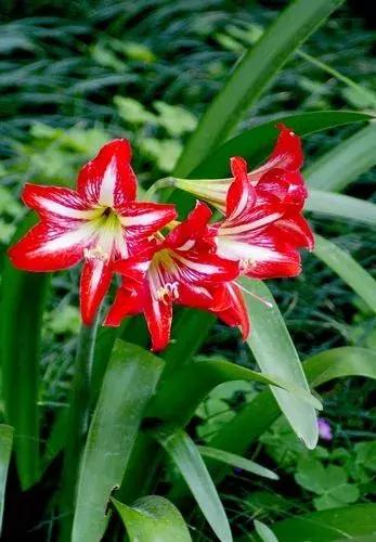 涨姿势为什么叫涨知识,涨姿势怎么解释