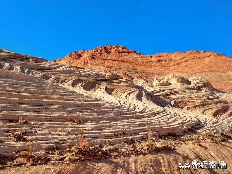 荒野乱斗流彩伊芙强度,荒野行动榴弹怎么用