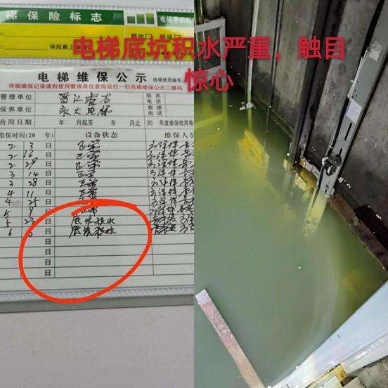 晋江新塘宝龙世家交房,宝龙世家新房开盘晋江池店