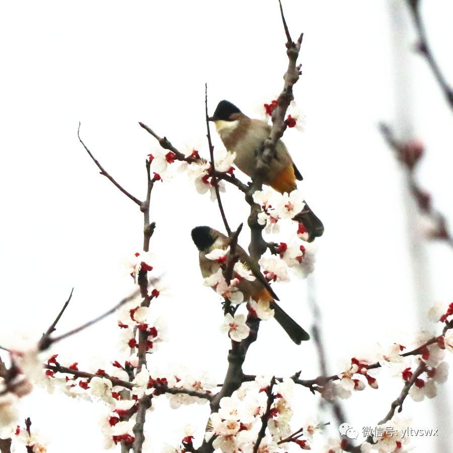 杨凌现状,杨凌最新照片
