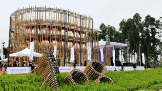 来成都打卡空港花田,成都双流空港花田打卡看飞机