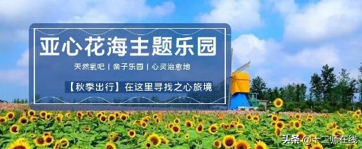 响沙湾景区教师节教师有优惠吗,教师节有什么免费又好玩的景点吗