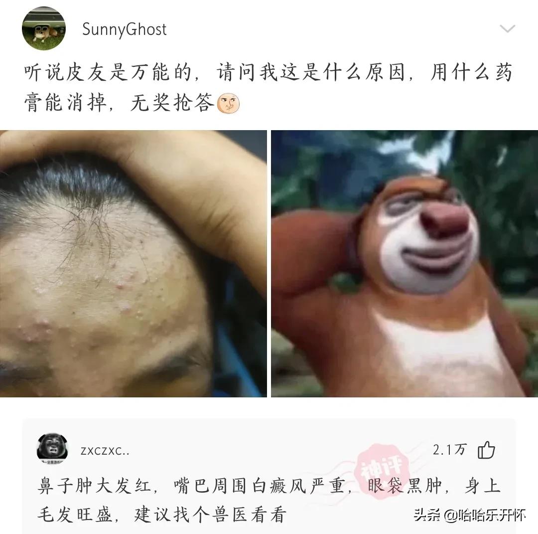 神评爆笑精华版26,神评爆笑合集